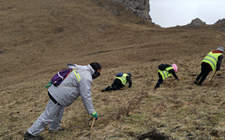 深耕那曲雪域，甄選正宗好草——2026那曲冬蟲夏草優(yōu)質(zhì)品牌盤點(diǎn)